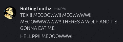 a screenshot of a chat with the name rottingtoothz