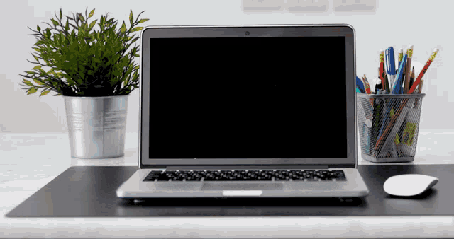 a laptop sits on a desk next to a plant