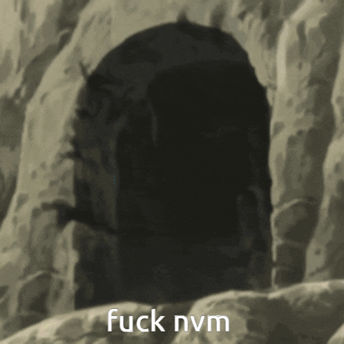 a picture of a cave with the words fuck nvm written on it