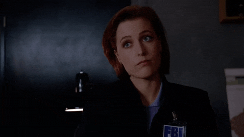 a woman with a fbi name tag says long story short