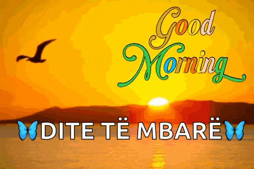 a good morning greeting card with a sunset and a bird