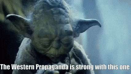 a picture of yoda with the words the western propaganda is strong with this one