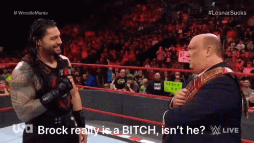 Roman Reigns Brock Lesnar GIF - Roman Reigns Brock Lesnar Bitch GIFs