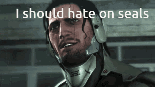 a video game character says i should hate on seals while wearing a helmet