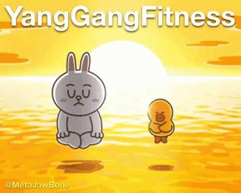 Yang Gang Fitness Yoga GIF - Yang Gang Fitness Yang Gang Yoga GIFs