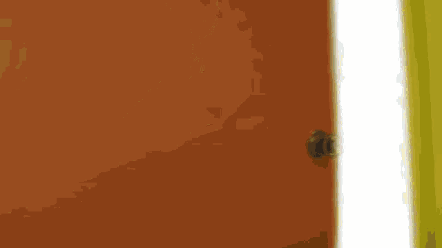 a brown door with a black knob and a yellow door behind it