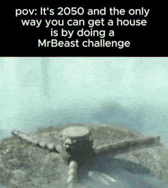 it is 2050 and the only way you can get a house is by doing a mrbeast challenge