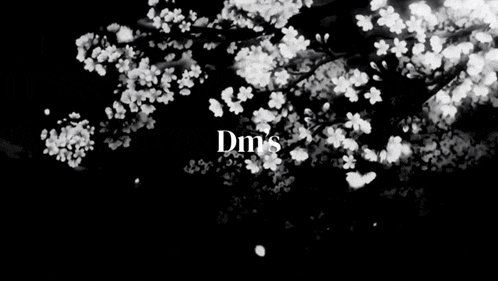 a black and white photo of a cherry blossom tree with the words dm 's written on the bottom