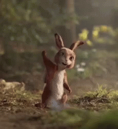 Hase Rabbit GIF - Hase Rabbit Winkewinke GIFs