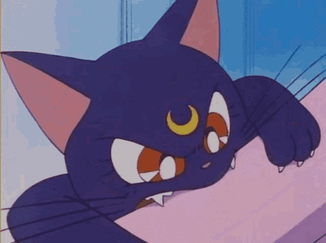a close up of a cartoon cat with a crescent moon on its head