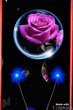 a purple rose is surrounded by bubbles and a picture of a girl with glasses