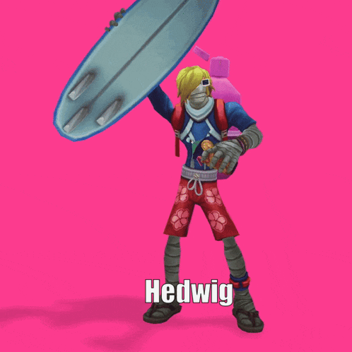 a cartoon character holding a surfboard with the name hedwig on the bottom right corner