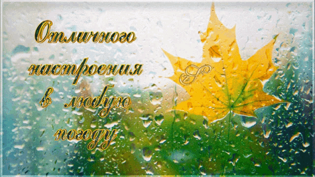 a russian greeting card with a maple leaf and rain drops on it