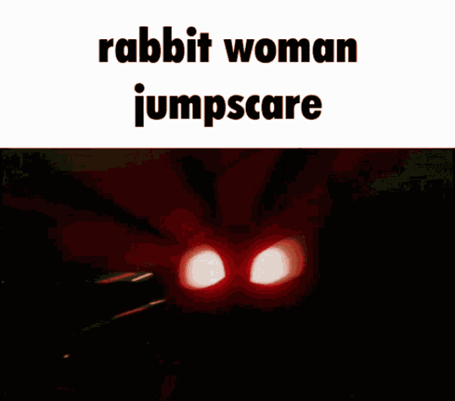 a rabbit woman jumpscare meme with a picture of her eyes