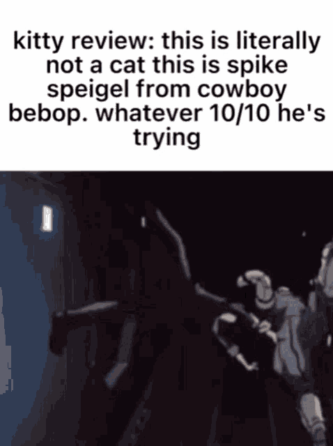 a screenshot of a kitty review that says this is literally not a cat this is spike spiegel from cowboy bebop .