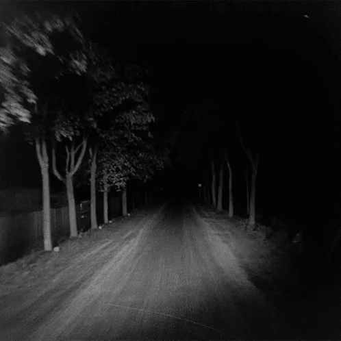 Dark Road Scary GIF - Dark Road Scary Creepy Road GIFs