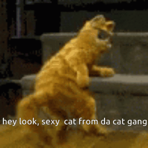 Garfield Cat Gang GIF - Garfield Cat Gang Dance GIFs