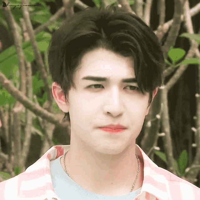 a young man wearing a pink and white striped shirt and a blue sweater