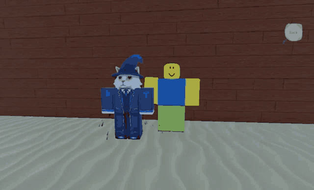 two roblox characters are standing next to each other with one wearing a hat