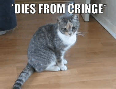 Dies From Cringe Dies Of Cringe GIF - Dies From Cringe Dies Of Cringe Dies From Cringe Cat GIFs