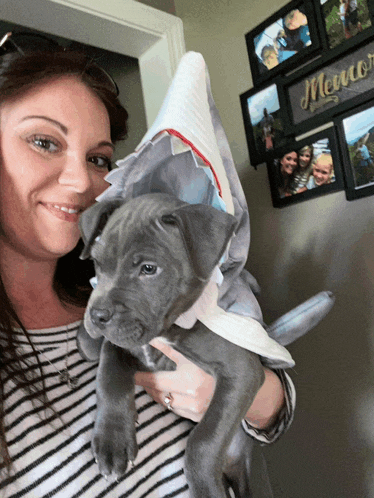 a woman holding a puppy wearing a shark hat