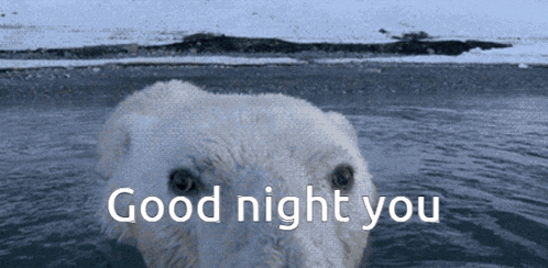 a polar bear swimming in the water with the words good night you written below it