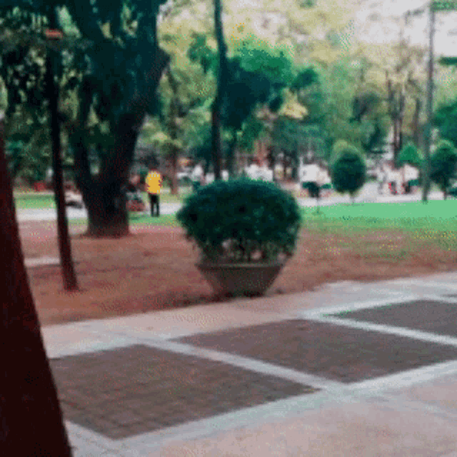 a blurred image of a park with a potted plant in the middle