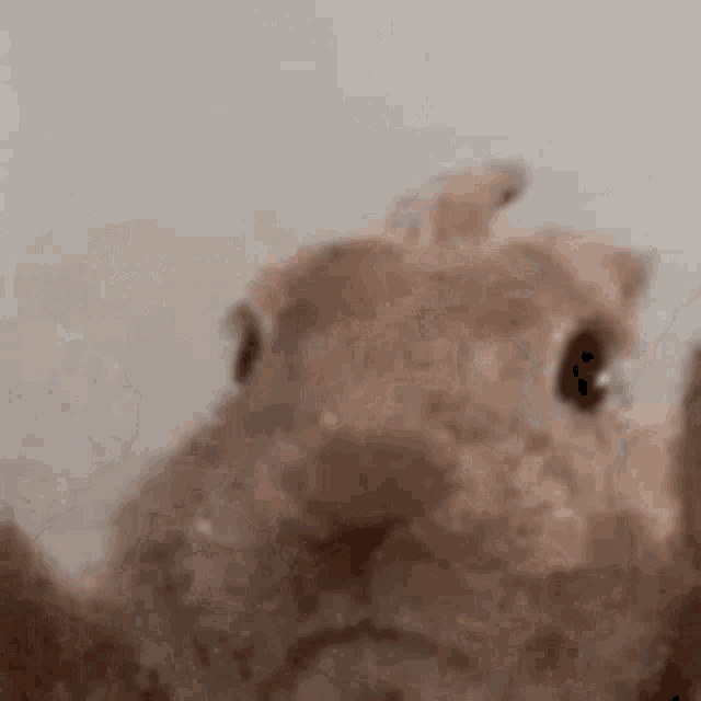 Vibe Bunny GIF - Vibe Bunny Vibing GIFs