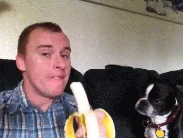Nifty Tricks GIF - Animals Dog Banana GIFs