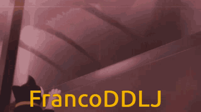a black and white cat is walking down a set of stairs with francoddllj written below it
