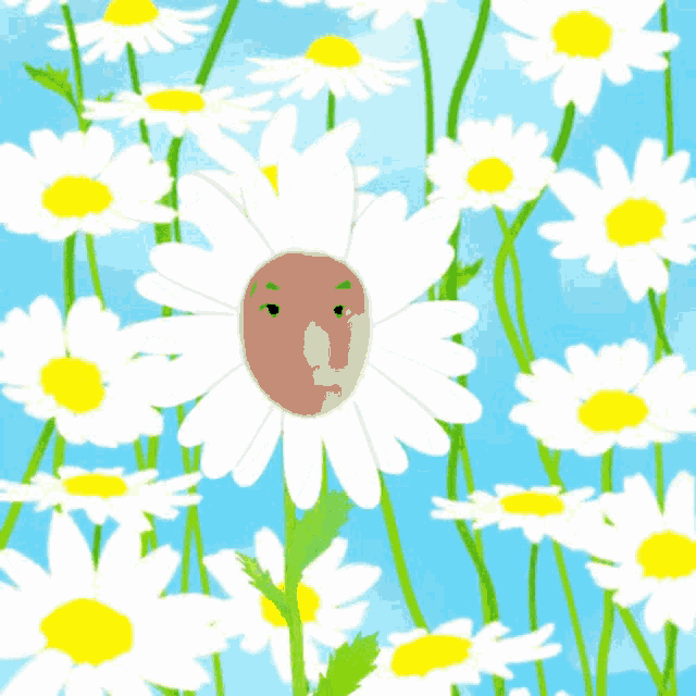 a picture of a woman 's face in a daisy flower