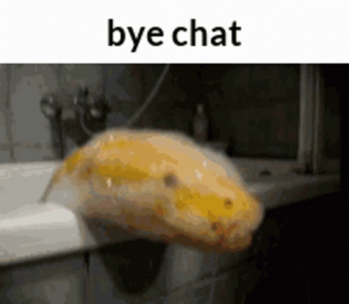 Bye Chat Goodbye GIF - Bye Chat Goodbye Bye GIFs