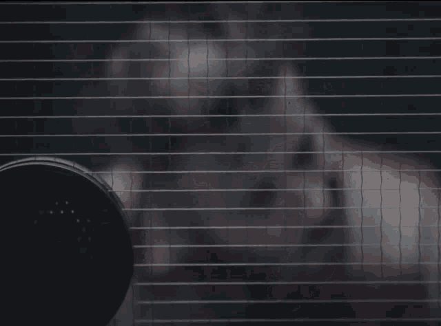 a close up of a person behind a grid of lines