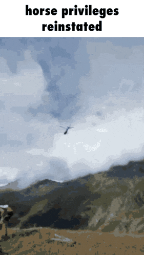 a horse flying in the sky with the words horse privileges reinstated above it