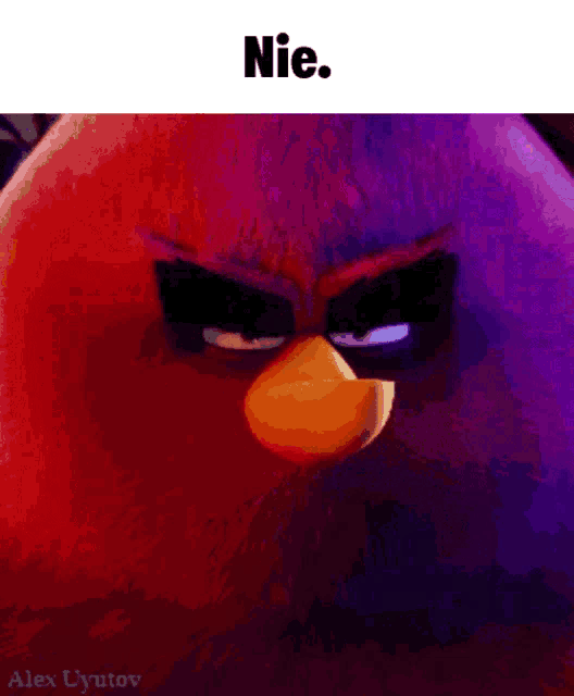 a picture of an angry bird with the words nie on the bottom