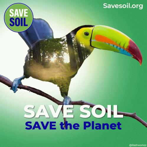 Save Soil Save Soil Movement GIF - Save Soil Save Soil Movement Toucan GIFs