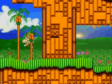 a screenshot of a video game called sonic the hedgehog with a bunch of palm trees .