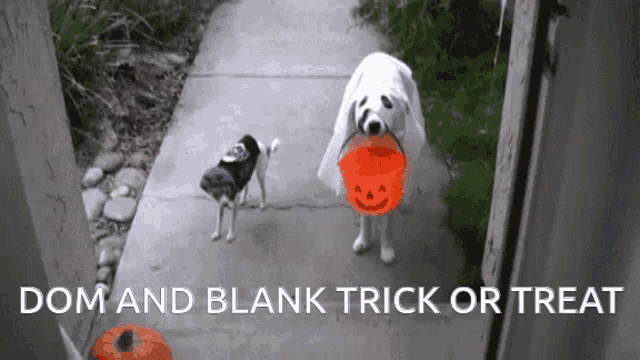 two dogs in halloween costumes are standing on a sidewalk with the words dom and blank trick or treat written below them