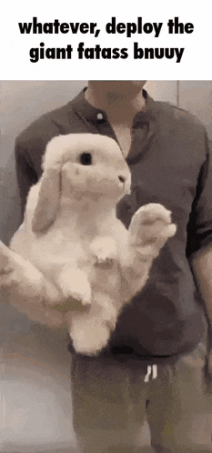a man is holding a bunny rabbit in his arms and the bunny is standing on its hind legs .