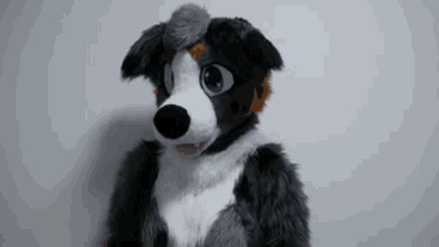 a furry dog mascot is standing in front of a white wall and looking at the camera .