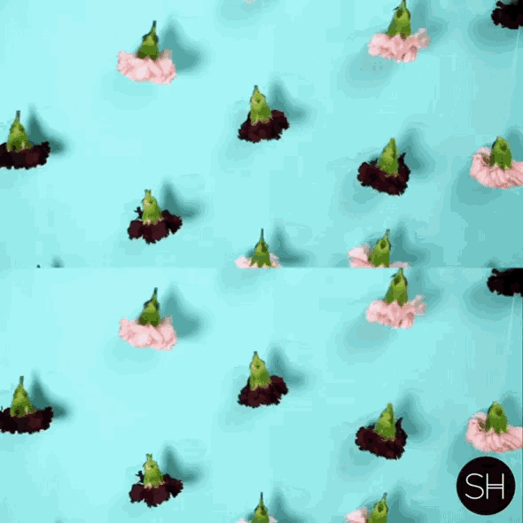 a pattern of flowers on a blue background with the letters sh