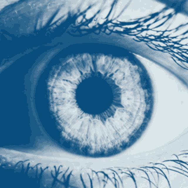 a close up of a woman 's blue eye with long eyelashes