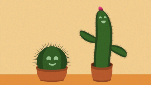 Cactus Cactusdance GIF - Cactus Cactusdance Friends GIFs