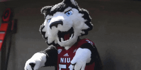 a husky mascot wearing a red adidas shirt
