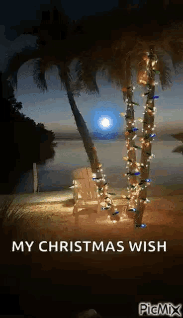 a couple of palm trees covered in christmas lights on a beach at night .