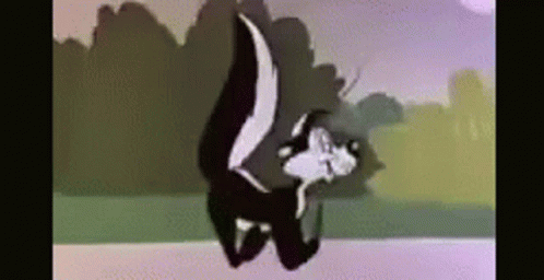 Excited Yay GIF - Excited Yay Skunk GIFs