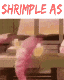Simple As Shrimp GIF - Simple As Shrimp It'S As Simple As That GIFs