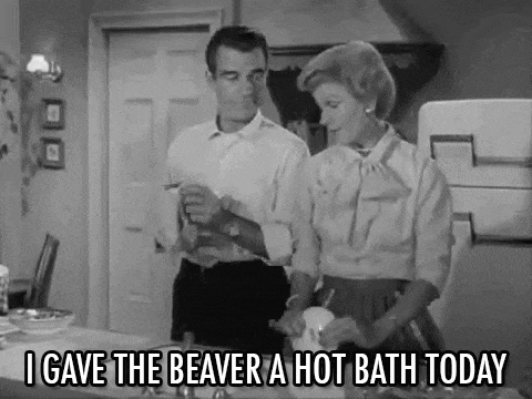 Beaver Bath GIF