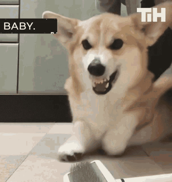Baby Look GIF - Baby Look Stare GIFs