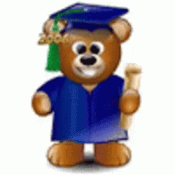 Graduate Bear GIF - Graduate Bear Graduating GIFs